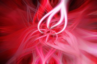 国际足球风云，最新动态与未来展望