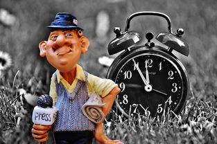 国际足球风云，最新新闻联播视频下载指南