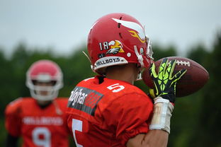 虎扑国际足球官网，足球爱好者的天堂