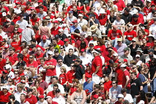 足彩网官方网站，足球爱好者的天堂