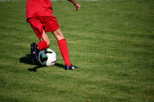 雷速体育即时比分足球小程序，球迷的掌上宝