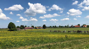 激情绿茵，一场足球的盛宴