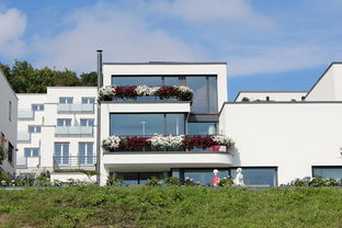 足球场，市政规划与房建工程的交汇点