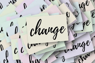 阿森纳最新动态，球队重建之路与未来展望