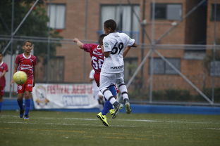 阿森纳专区最新动态，虎扑足球的深度解析