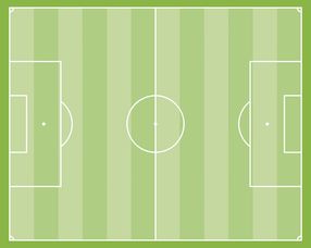 新建标准足球场补贴200万元，推动足球运动普及与发展的强心剂