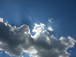 曼联最新动态，虎扑独家解析